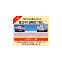 ショップジャパン TRHPWS4 ホオンテック掛け布団 プレミアム