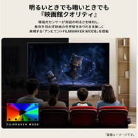 LGエレクトロニクス OLED65G6PJB 65V型4Kチューナー内蔵4K対応有機EL