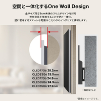 LGエレクトロニクス OLED65G6PJB 65V型4Kチューナー内蔵4K対応有機EL