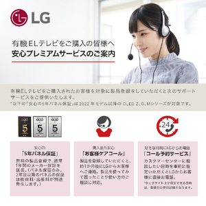 LGエレクトロニクス 65V型4Kチューナー内蔵4K対応有機ELテレビ OLED65G6PJB-イメージ19