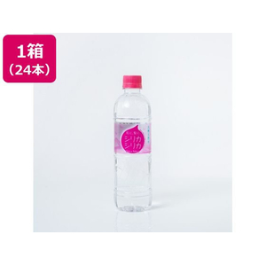 オンガネジャパン 九州天然水 シリカシリカ 500ml×24本 FCG673U-C-467-イメージ1