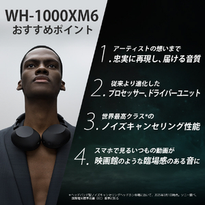 SONY ワイヤレスノイズキャンセリングステレオヘッドセット ブラック WH-1000XM6 B-イメージ2