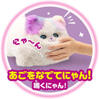 アガツマ ﾆﾔﾝﾀﾞｷﾐﾊ ニャンだきみは!? |エディオン公式通販