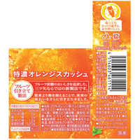 アサヒ飲料 FC205TF 三ツ矢特濃オレンジスカッシュ 500mL |エディオン