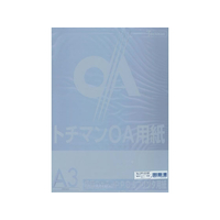 SAKAEテクニカルペーパー 極厚口カラーPPC A3 グレー 50枚×5冊 FC65082-LPP-A3-GR