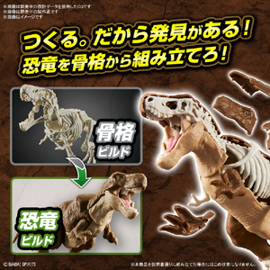 バンダイスピリッツ プラノサウルス ティラノサウルス ﾌﾟﾗﾉｻｳﾙｽ01ﾃｲﾗﾉｻｳﾙｽ-イメージ3