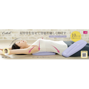 サンファミリー Cellsh 背筋ストレッチクッション CELLSHｾｽｼﾞｽﾄﾚﾂﾁｸﾂｼﾖﾝ-イメージ2