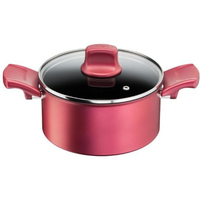 Ｔ－ｆａｌ IH ルージュ・アンリミテッド シチューポット 20cm FCF777N-G26244