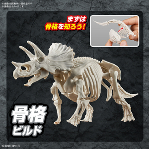 バンダイスピリッツ プラノサウルス トリケラトプス ﾌﾟﾗﾉｻｳﾙｽ02ﾄﾘｹﾗﾄﾌﾟｽ-イメージ4