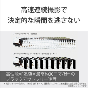 SONY ミラーレス一眼カメラ α ILCE-7RM6-イメージ10