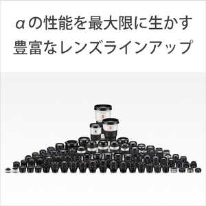 SONY ミラーレス一眼カメラ α ILCE-7RM6-イメージ16