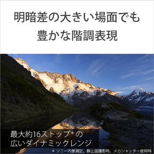 SONY ミラーレス一眼カメラ α ILCE-7RM6-イメージ6