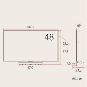 LGエレクトロニクス 48V型4Kチューナー内蔵4K対応有機ELテレビ OLED48C6PJA-イメージ15