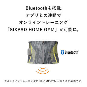 MTG Powersuit Core Belt【HOME GYM対応モデル】 Lサイズ SIXPAD グレー SE-BS-14C-L-イメージ6