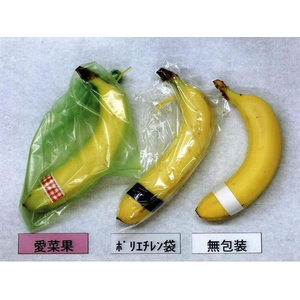 関西紙工 ニプロ 鮮度保存袋 愛菜果 L 5枚 FCB5602-イメージ5