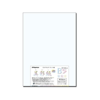 長門屋 美彩紙 B5[209g] 50枚 FCF325U-ﾅ-961