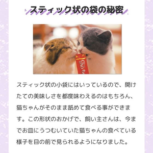 いなば 旅するちゅーる 深みだしセレクション 6g×6P FCE087K-イメージ4