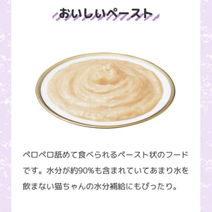 いなば 旅するちゅーる 深みだしセレクション 6g×6P FCE087K-イメージ5