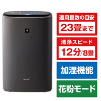シャープ KIS50E2H 加湿空気清浄機 e angle select グレー系