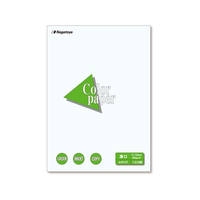 長門屋 カラーペーパー A4 厚口 白 FCF326U-ﾅ-3301