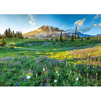 アップルワン 遥かなるマウントレーニア ｱﾂﾌﾟﾙ500269ﾊﾙｶﾅﾙﾏｳﾝﾄﾚ-ﾆｱ