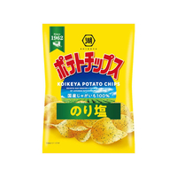 湖池屋 ポテトチップス のり塩 FCB776L