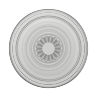 PopSockets スマホグリップ Plant Faded Stone 805500