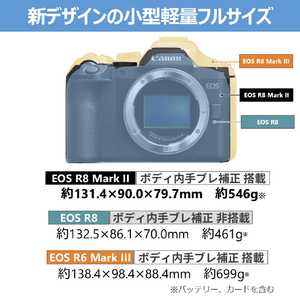 キヤノン EOS R8 Mark II・RF45 F1．2 STM レンズキット ブラック EOSR8MK24512STM-イメージ3