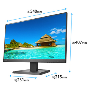 I・Oデータ USB Type-C搭載 23．8型 液晶ディスプレイ ブラック LCD-C242SDB-イメージ2