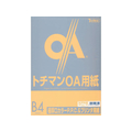 SAKAEテクニカルペーパー 極厚口カラーPPC B4 スキン 50枚×5冊 FC65098-LPP-B4-SW