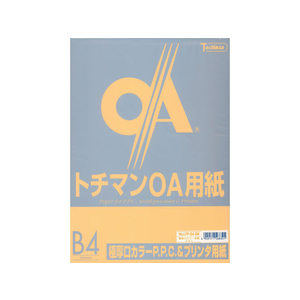 SAKAEテクニカルペーパー 極厚口カラーPPC B4 スキン 50枚×5冊 FC65098-LPP-B4-SW-イメージ1