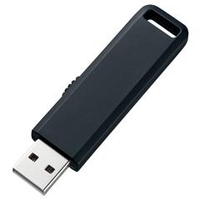 サンワサプライ USBフラッシュメモリ(2GB) ブラック UFD-SL2GBKN