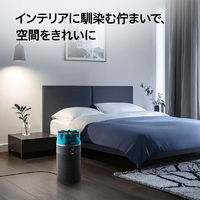 ダイソン SP01BT Dyson Hushjet shizuka 空気清浄機 ブラック/ティール