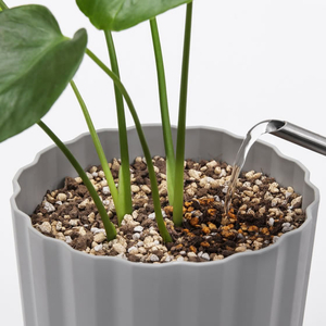 アイリスオーヤマ 穏やかに育つ観葉植物の土 5L FCK258A-IHPC-5L-イメージ3