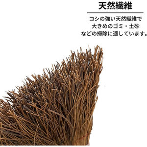 日本クリンテック BPほうき 赤シダ 長柄 パルミラ FCG077Y-イメージ2