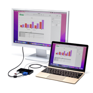 サンワサプライ VGA付USB Type-Cハブ USB-3TCV1BK-イメージ3
