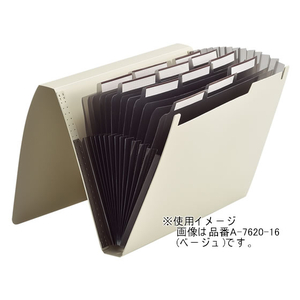リヒトラブ SMART FIT ドキュメントファイル A4 12仕切 ブラック F114268-A-7620-24-イメージ2