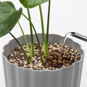 アイリスオーヤマ 穏やかに育つ観葉植物の土 10L FCK259A-IHPC-10L-イメージ3