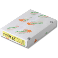 北越コーポレーション ニューファインカラー B5 イエロー 500枚 FCD018R