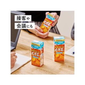 伊藤園 健康ミネラルむぎ茶 250mL 48本 1セット(48本) F294567-イメージ4
