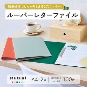 リヒトラブ Mutual ルーパーレターファイル A4 マットイエロー FCK720B-F2106-5-イメージ2