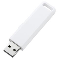 サンワサプライ USBフラッシュメモリ(2GB) ホワイト UFD-SL2GWN