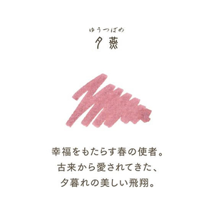セーラー万年筆 万年筆用ボトルインク20ml 四季織 山水 夕燕 FC224RL-131008229-イメージ2