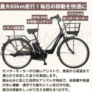 PELTECH X-Urban 36Vセンターモーターモデル 26型内装3段電動アシスト ベージュ TDF-20Z-BE-イメージ4