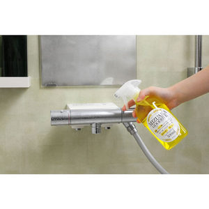 アーネスト 乳酸クリーナー 水あかグッバイ 500mL FCB1665-A-76860-イメージ2