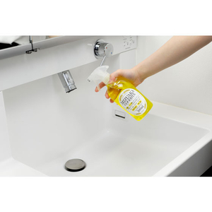 アーネスト 乳酸クリーナー 水あかグッバイ 500mL FCB1665-A-76860-イメージ4