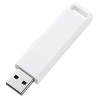 サンワサプライ USBフラッシュメモリ(4GB) ホワイト UFD-SL4GWN