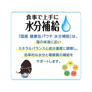 アイシア 国産 健康缶パウチ 水分補給 まぐろフレーク 40g FC05211-KZJ-3-イメージ5
