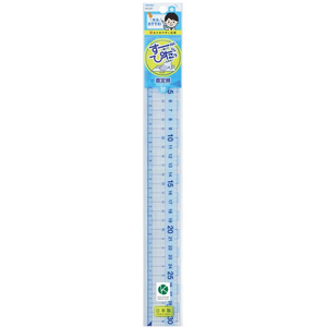 レイメイ 先生おすすめ直定規 30cm FCE688V-APJ257-イメージ2