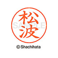 シヤチハタ ネームペン用ネーム シルバー 既製 松波 FC47602-X-GPS-1831